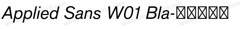 Applied Sans W01 Bla字体转换